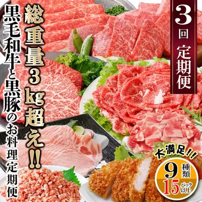 総重量3Kg越え、鹿児島県産黒毛和牛と黒豚のお料理定期便(3回配送) EE0-0002[1504377] _ ふるさと納税 定期便 牛肉 豚肉 切り落とし しゃぶしゃぶ ハンバーグ ミンチ すき焼き 焼肉