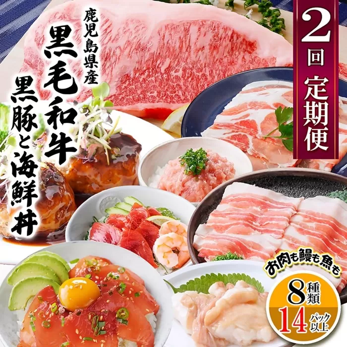 定期便2回配送　鹿児島県産黒毛和牛・黒豚　CC0-0001【1542064】_国産 鹿児島県 枕崎 定期便 かつお マグロ ネギトロ セット 食べ比べ サーロインステーキ ハンバーグ 丼 ホルモン 黒豚 人気 産地直送