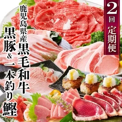 定期便(2回配送)鹿児島県産黒毛和牛・豚肉・一本釣りかつおDD-6004【1166749】 _ ふるさと納税 定期便 和牛 牛肉 豚肉 カツオ すき焼き しゃぶしゃぶ ハンバーグ 海鮮丼 焼肉 鹿児島県