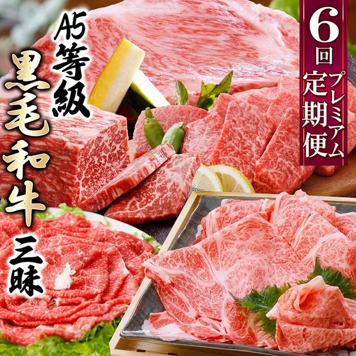 定期便(6回配送)A5等級鹿児島県産黒毛和牛三昧 II-0016 【1166763】 _ 肉 お肉 牛肉 ロース サーロイン ステーキ すき焼き すきやき しゃぶしゃぶ 焼肉 切り落とし 人気 送料無料 