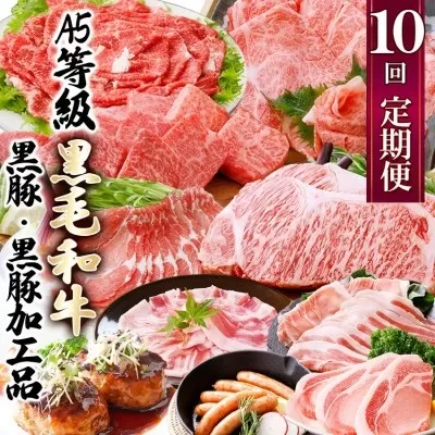 定期便(1年で10回配送)枕崎お楽しみ便(A5等級黒毛和牛・黒豚・黒豚加工品etc) II-6002 【1166753】
