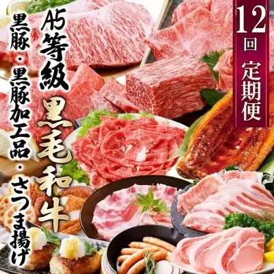 定期便(12回配送)枕崎お楽しみ便(A5等級黒毛和牛・黒豚・黒豚加工品・さつまあげ等)JJ-6003 【1166754】 _ ふるさと納税 定期便 牛肉 豚肉 しゃぶしゃぶ ステーキ ハンバーグ ソーセージ もつ鍋 餃子 さつま揚げ