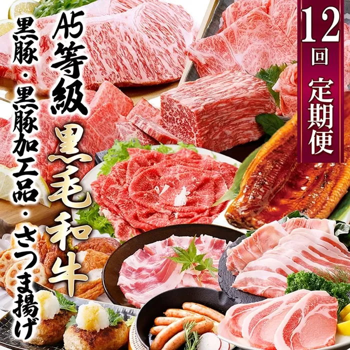 定期便(12回配送)枕崎お楽しみ便(A5等級黒毛和牛・黒豚・黒豚加工品・さつまあげ等)JJ-6003 [1166754] _ ふるさと納税 定期便 牛肉 豚肉 しゃぶしゃぶ ステーキ ハンバーグ ソーセージ もつ鍋 餃子 さつま揚げ