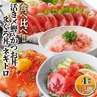 枕崎ぶえん鰹800g & 漬け丼3種9袋(かつお・まぐろ・ネギトロ) A6-140 【1166317】 かつお 枕崎 カツオ 鰹 ぶえん鰹 1本釣り 海鮮 海鮮丼 鮪 マグロ ネギトロ 漬け 漬け丼 お手軽 人気 鹿児島 枕崎