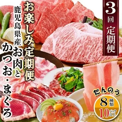 定期便3回配送　お楽しみ定期便(鹿児島県産お肉とかつお・まぐろ) EE-6015【1491146】 _ ふるさと納税 定期便 牛肉 豚肉 ハンバーグ まぐろ カツオ タタキ 肉