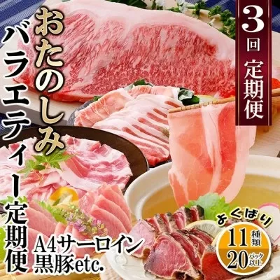定期便(3回配送)　お楽しみバラエティー定期便 LL-6017【1499420】 ふるさと納税 定期便 牛肉 豚肉 ステーキ まぐろ カツオ すき焼き 焼肉