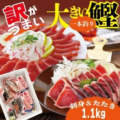 【訳あり】大きい!!!サイズの炭火焼鰹タタキ&さしみ　A0-35【1508875】_ かつお カツオ 鰹 カツオ 刺身 一本釣り 魚介 魚 産直 産地直送 国産 鹿児島 枕崎