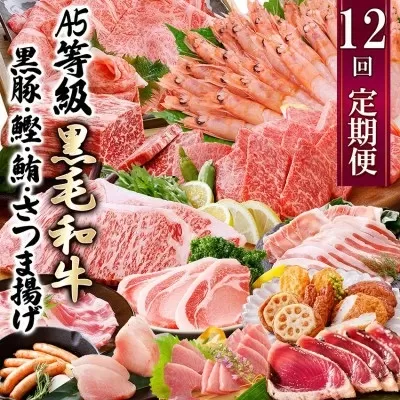 定期便(12回配送)お楽しみ便(A5等級黒毛和牛・黒豚・かつお・まぐろ・さつまあげ等)JJ-6002 【1166755】