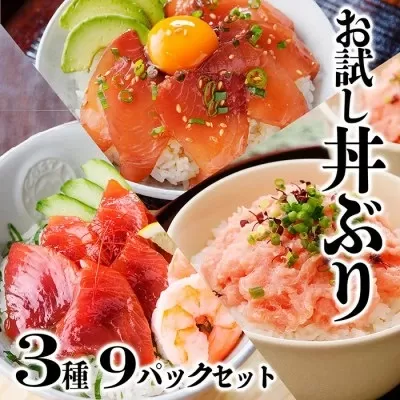 お試し丼ぶり3種9パックセット　A0-63【1505334】 _ 鰹 かつお マグロ 鮪 ネギトロ セット 海鮮丼 丼 海鮮 便利 簡単 冷凍 小分け 人気 おすすめ 送料無料 お試し 食べ比べ 鹿児島県 枕崎 流水解凍 魚介