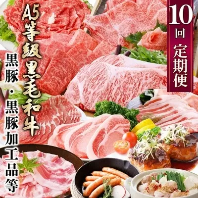 定期便(1年で10回配送)お楽しみ便(A5等級黒毛和牛・鹿籠豚(黒豚)・かご豚加工品等HH-6004 【1166752】