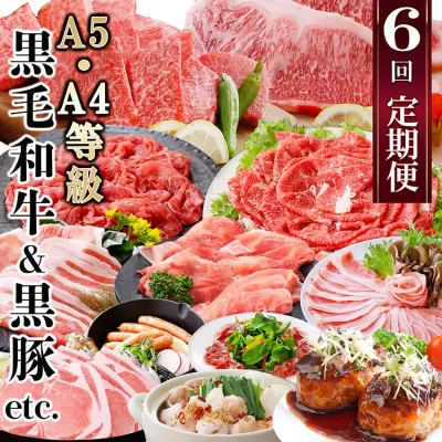 定期便(6回)A5・A4等級黒毛和牛・黒豚etc FF-0061【1166779】 _ ふるさと納税 定期便 牛肉 豚肉 和牛 サーロイン ステーキ 黒豚 ホルモン しゃぶしゃぶ 焼肉 すき焼き もつ鍋 生ハム ハンバーグ ソーセージ