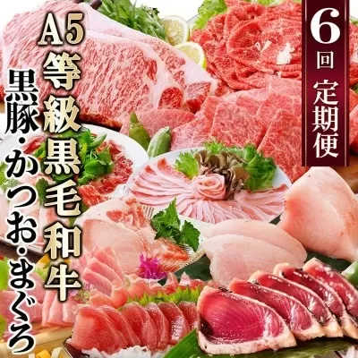 定期便(6回)A5等級黒毛和牛・黒豚・かつお・まぐろ FF-0058【1166770】 _ 定期便 牛肉 肉 お肉 サーロイン ステーキ 焼肉 ハンバーグ 切り落とし 豚肉 しゃぶしゃぶ ロース バラ 霜降り 生ハム まぐろ かつお ふるさと納税 定期便 黒毛和牛 黒豚 カツオ マグロ 焼肉 さつま揚げ ステーキ