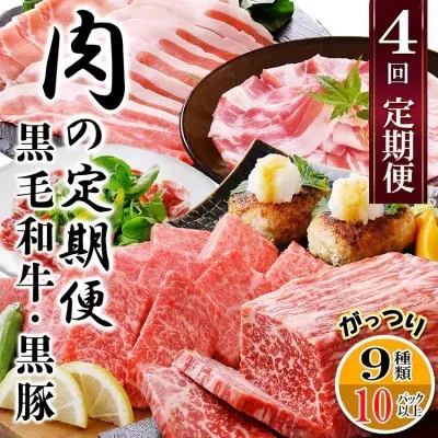 定期便4回配送 肉の定期便 EE-6016[1491491] _ ふるさと納税 定期便 牛肉 豚肉 肉 黒豚 焼肉 ブロック肉 生ハム 餃子