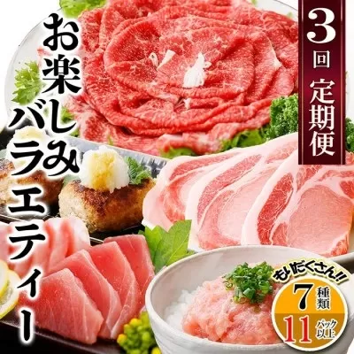 定期便3回配送　お楽しみバラエティー　OO-0004【1528204】　ふるさと納税 定期便 牛肉 豚肉 切り落とし まぐろ ハンバーグ すき焼き 肉 鹿児島県 枕崎市