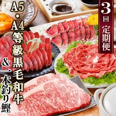 定期便(3回配送)枕崎お楽しみ便(黒毛和牛サーロイン・一本釣りかつおたたき・さしみ)　LL-6006【1462806】ふるさと納税 定期便 牛肉 黒毛和牛 A5等級 焼肉 サーロイン ステーキ 切り落とし カツオ タタキ 刺身 海鮮丼 しゃぶしゃぶ すき焼き