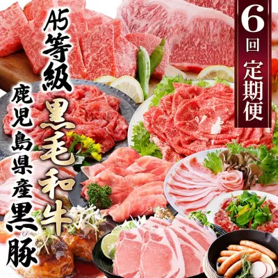 定期便(6回)A5・A4等級黒毛和牛・黒豚etc FF-0061[1166779] _ ふるさと納税 定期便 牛肉 豚肉 和牛 サーロイン ステーキ 黒豚 ホルモン しゃぶしゃぶ 焼肉 すき焼き 生ハム ハンバーグ ソーセージ