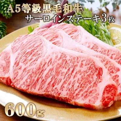 鹿児島県産A5等級黒毛和牛サーロインステーキ3枚(600g) C0-17 【1166313】 サーロインステーキ サーロイン ステーキ 肉 牛肉 和牛 黒毛和牛 A5等級 霜降り 3枚 600g 冷凍 国産 鹿児島 お祝い 贈答 プレゼント 送料無料