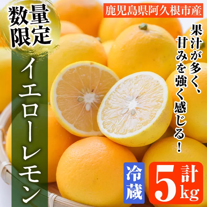 ＜先行予約受付中！2026年4月以降順次発送予定＞数量限定！冷蔵品マイヤーイエローレモン(5kg) 国産 マイヤーレモン 檸檬 オレンジ 果実 果物 フルーツ 柑橘 デザート 期間限定【桐野柑橘株式会社】akn070-13