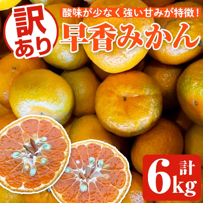 ＜先行予約受付中！2025年12月下旬以降順次発送予定＞訳あり早香みかん(計6kg) 国産 フルーツ 果物 蜜柑 柑橘 みかん 訳あり【松永青果】akn053-39