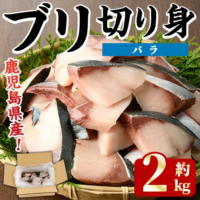 ＜先行予約受付中！2025年11月以降順次発送予定＞ブリの切り身(バラ・約2kg) 国産 鹿児島県産 ブリ 鰤 魚貝 魚介 海産物 焼き魚 煮つけ ブリカツ バラ 【株式会社島水】akn102-02