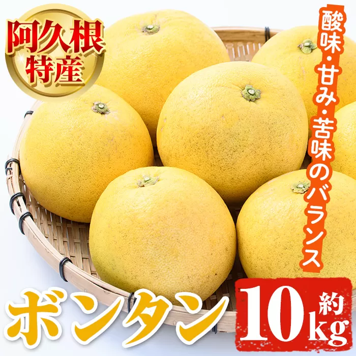 ＜先行予約受付中！2026年1月以降順次発送予定＞阿久根特産 ボンタン(10kg) 国産 果物 ボンタン ぼんたん フルーツ スイーツ 贈答用 ギフト 柑橘 期間限定【松永青果】akn053-28