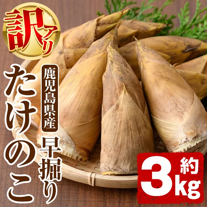 ＜先行予約受付中！2025年11月以降順次発送予定＞訳あり！鹿児島県産 早掘りたけのこ(約3kg) 国産 野菜 たけのこ タケノコ 筍 旬 煮物 水煮 天ぷら つくだ煮【松永青果】akn053-34