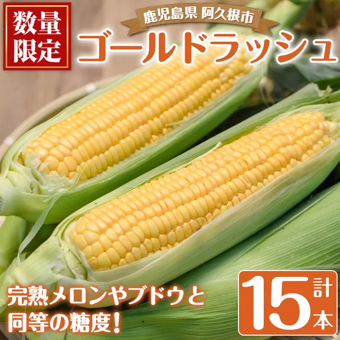 ＜先行予約受付中！2026年5月下旬以降順次発送予定＞厳選摘果！とうもろこし(15本・品種・ゴールドラッシュ) 国産 旬 野菜 青果 トウモロコシ 厳選 高糖度 冷蔵 期間限定 数量限定 【春田幸一】akn082-01