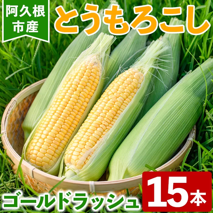 ＜先行予約受付中！2025年6月以降順次発送予定＞とうもろこし ゴールドラッシュ(15本) 国産 旬 野菜 青果 トウモロコシ 期間限定【笹原正樹】a-12-315-z