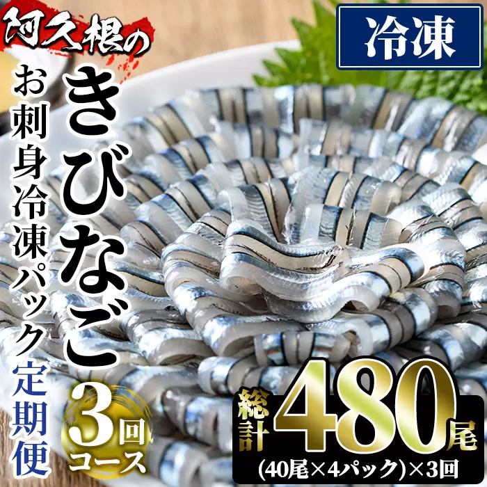 ＜定期便・全3回(冷凍便)＞鹿児島県産！阿久根のきびなごお刺身セット(計480尾・40尾×4P×3回) 冷凍 魚介類 海鮮 魚 きびなご キビナゴ 刺身 さしみ 刺し身 青魚 子魚 小分け【椎木水産】a-36-31-z