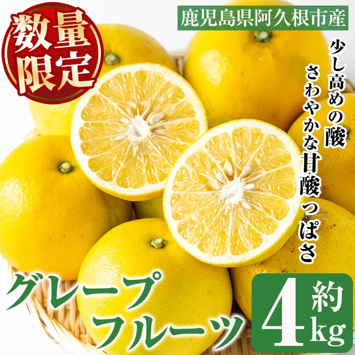＜先行予約受付中！2026年2月以降順次発送＞数量限定！グレープフルーツ(約4kg)国産 果実 果物 フルーツ 柑橘 デザート 期間限定【桐野柑橘株式会社】akn070-04