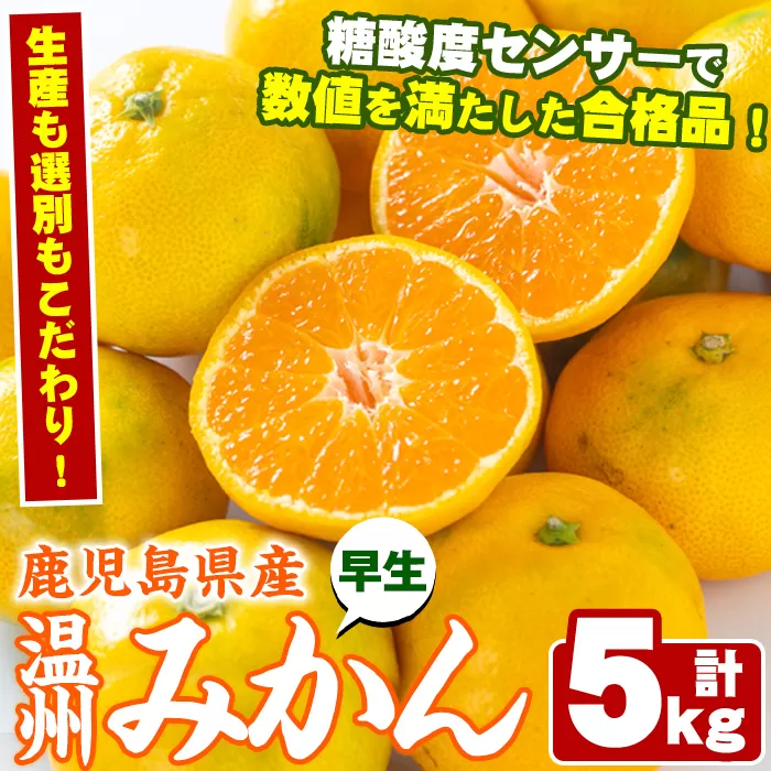 ＜先行予約受付中！2025年10月中旬以降順次発送予定＞＜期間・数量限定＞早生温州みかん(5kg) 国産 ミカン 柑橘 果物 フルーツ 温州 期間限定【鹿児島いずみ農業協同組合】akn018-08