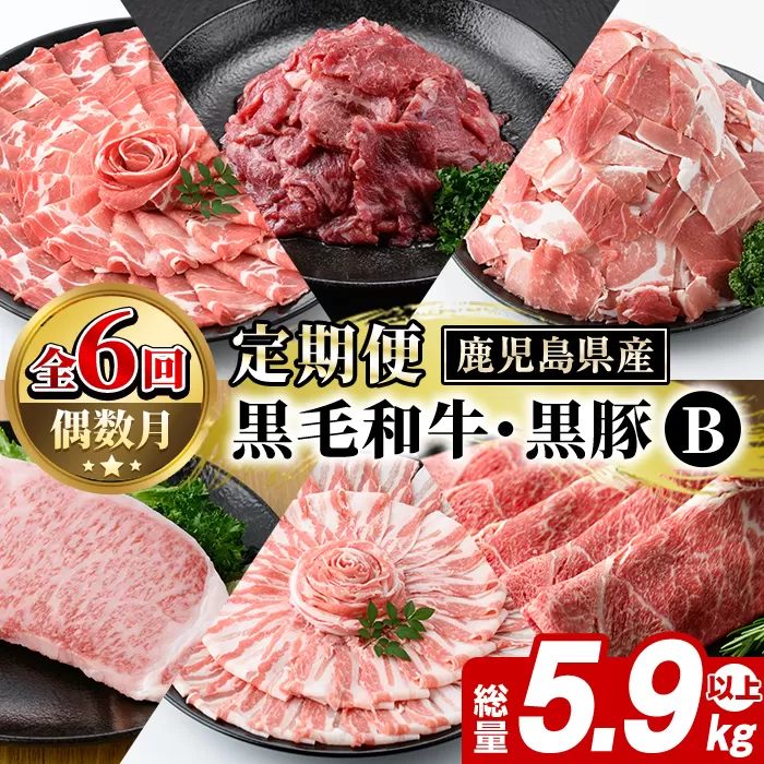＜定期便・全6回(偶数月)＞鹿児島県産 黒毛和牛・黒豚 定期便 B (総量5.9kg以上) 国産 鹿児島県産 黒豚 しゃぶしゃぶ 肩 ロース スライス 訳あり 切り落とし 黒毛和牛 サーロイン ステーキ 黒豚 バラ カタ ウデ 小分け セット 【スターゼン】akn042-37
