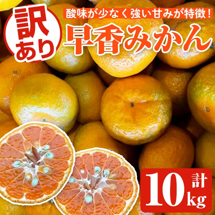 ＜先行予約受付中！2025年12月下旬以降順次発送予定＞訳あり早香みかん(計10kg) 国産 フルーツ 果物 蜜柑 柑橘 みかん 訳あり【松永青果】akn053-43