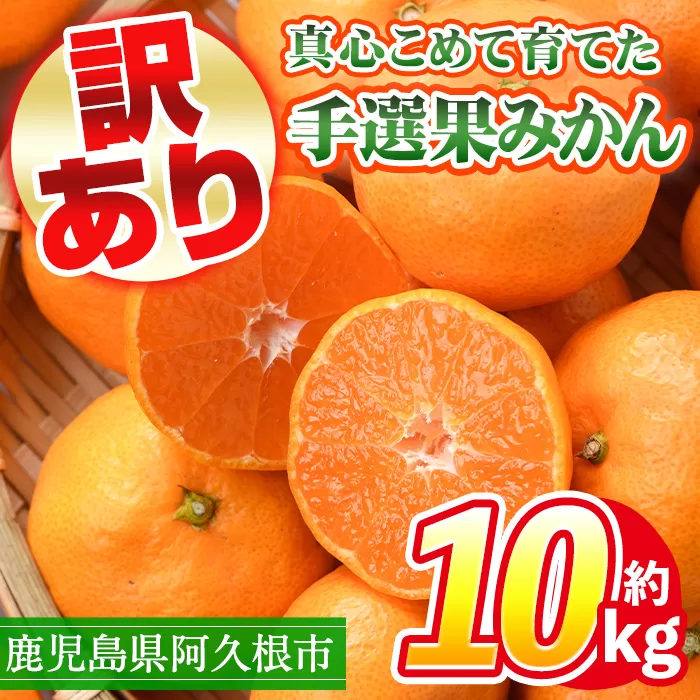 ＜先行予約受付中！2025年10月中旬以降順次発送予定＞訳あり！鹿児島県産手選果みかん(計10kg) 国産 柑橘 果物 フルーツ ご家庭用 サイズ 不揃い【三笠農業生産】akn051-11