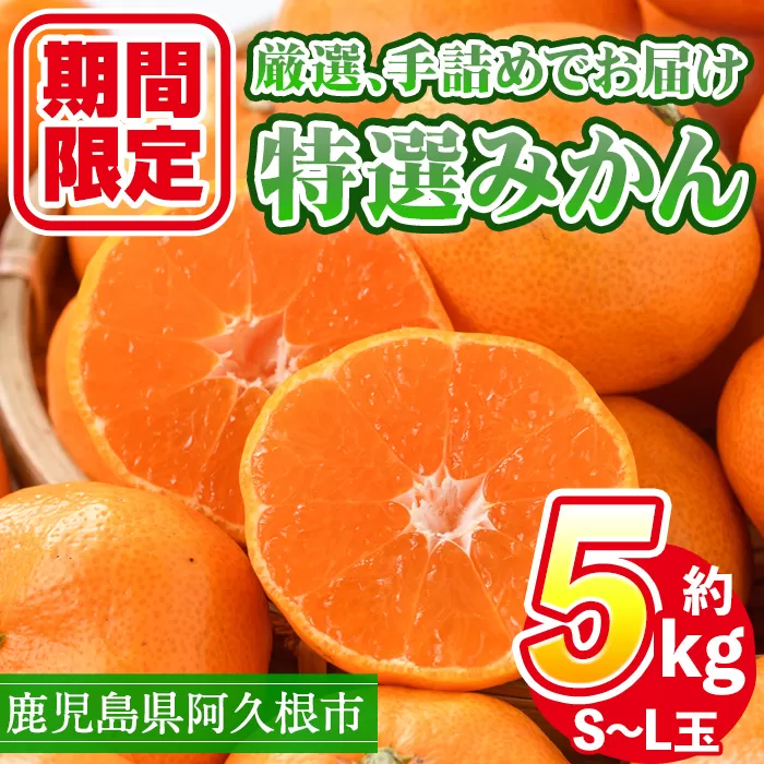 ＜先行予約受付中！2025年10月上旬以降順次発送予定＞数量限定！鹿児島県産 特選みかん(計約5kg) 国産 鹿児島県産 阿久根市産柑橘 果物 くだもの フルーツ 蜜柑 ミカン デザート 旬 数量限定 期間限定 手詰め 手詰【三笠農業生産】a-18-39-z
