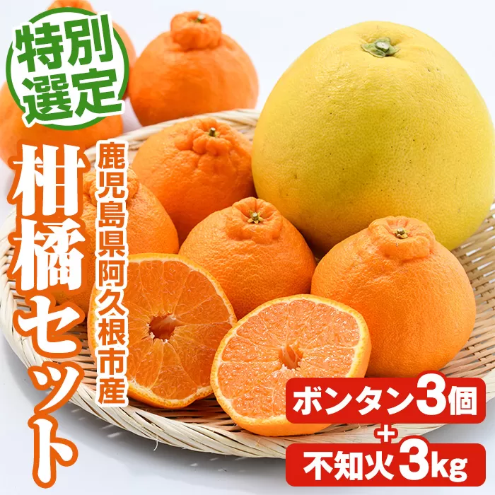＜先行予約受付中！2026年1月以降順次発送予定＞鹿児島県阿久根市産！特別選定 柑橘セット(ボンタン3個・不知火3kg) 国産 果物 フルーツ かんきつ ノーワックス【松永青果】akn053-26
