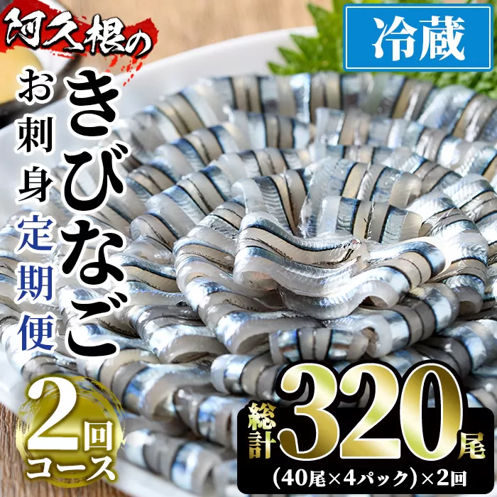 ＜定期便・全2回(冷蔵便)＞鹿児島県産！阿久根のきびなごお刺身セット(40尾×4P×2回)国産 魚介 おつまみ おかず 頒布会 青魚 子魚 小分け【椎木水産】a-24-59-z