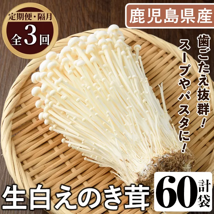 ＜定期便(奇数月)・全3回＞生白えのき茸(計60袋・20袋×3回) 国産 エノキ きのこ キノコ 個包装 【三笠えのき茸生産組合】akn010-23