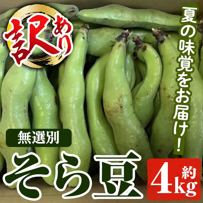＜先行予約受付中！2026年4月下旬以降順次発送予定＞訳あり！鹿児島県産 そら豆(約4kg) 国産 野菜 そら豆 ソラマメ おつまみ サラダ 炒め物 訳アリ サイズ混合 ソラ豆 鞘つき さやつき【松永青果】akn053-08