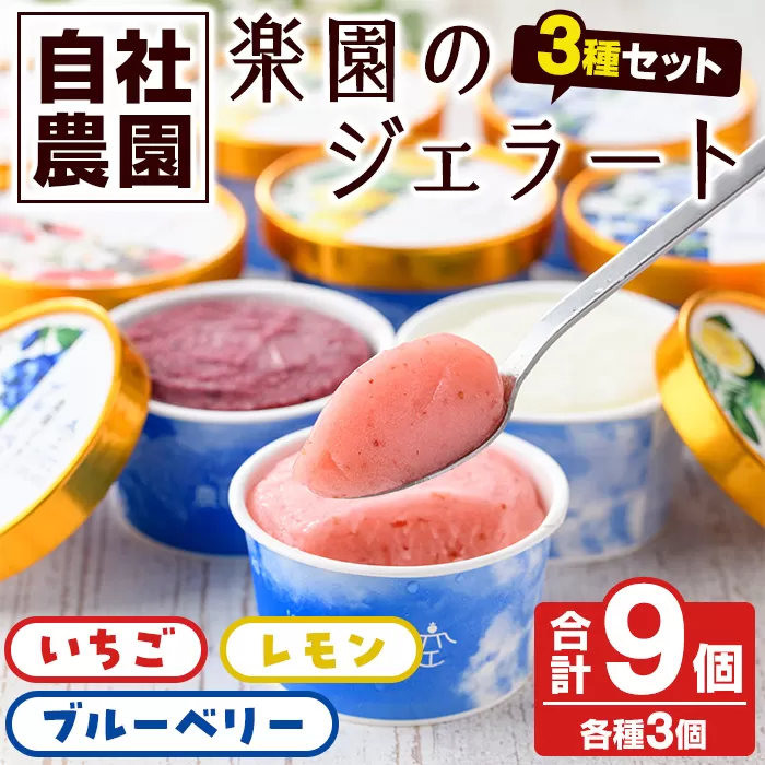 楽園のジェラート3種セット(合計9個) スイーツ デザート おやつ ジェラート アイス 夏 いちご レモン ブルーベリー 自社農園 【農園ガーデン空】a-15-42-z