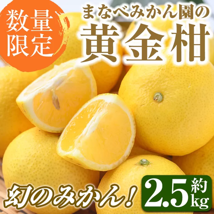 ＜先行予約受付中！2026年2月上旬以降順次発送予定＞まなべみかん園の黄金柑(約2.5kg) 国産 鹿児島県産 阿久根市産 柑橘類 果物 フルーツ みかん ミカン 蜜柑 期間限定 数量限定 贈答用 ギフト プレゼント デザート 【有限会社まなべみかん園】a-14-3-z