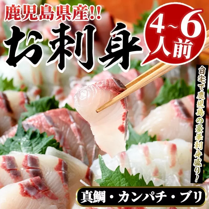 厳選お刺身BOX(4〜6人前) 国産 お刺身 魚貝 魚介 鯛 カンパチ ブリ 海産物 刺身 おつまみ セット【さるがく水産】a-20-28-z
