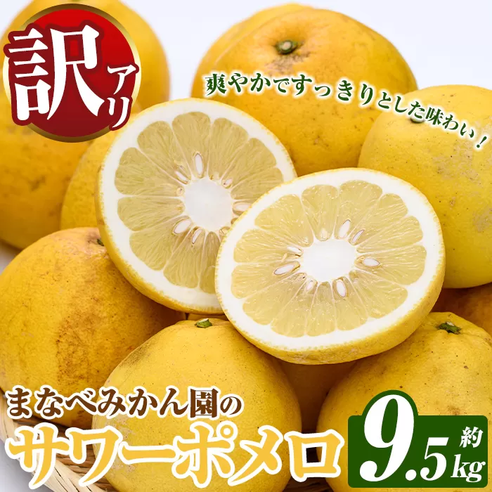 訳あり！まなべみかん園のサワーポメロ (約9.5kg) 国産 鹿児島県産 阿久根市産 柑橘類 みかん ミカン 蜜柑 果物 フルーツ サワーポメロ 期間限定 数量限定 デザート 訳アリ 【有限会社まなべみかん園】akn034-08