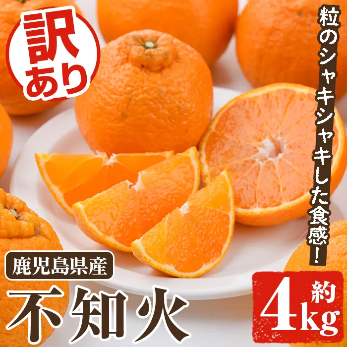 ＜先行予約受付中！2026年2月以降順次発送予定＞訳あり不知火(約4kg) 国産 鹿児島県産 果物 フルーツ 柑橘 不知火【松永青果】akn053-17