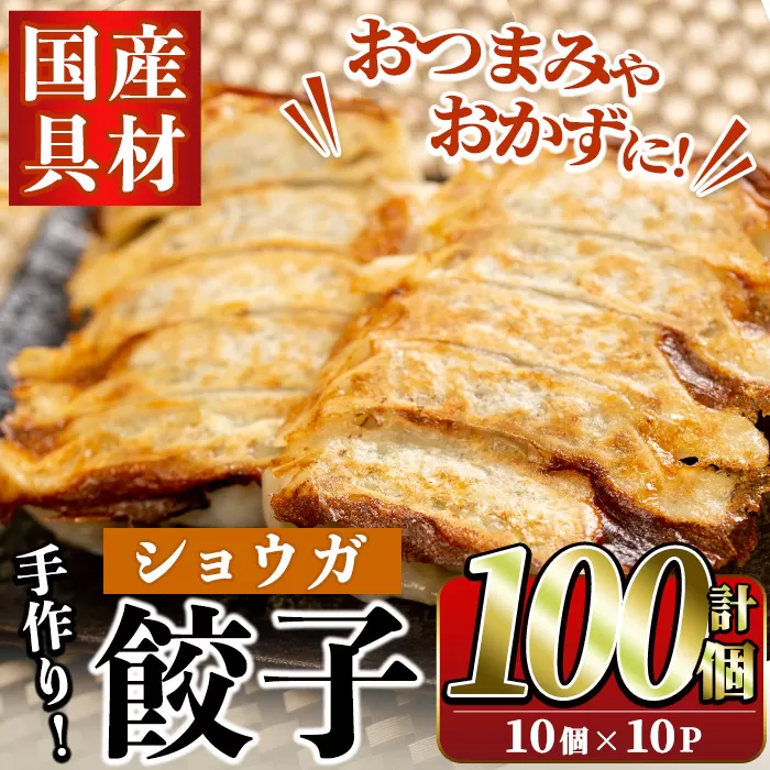 国産豚肉使用！手作りショウガ餃子(計100個・10個×10パック、たれ付き) 餃子 ぎょうざ ギョウザ ギョーザ しょうが 生姜 豚肉 おかず お惣菜【スーパーよしだ】akn058-07