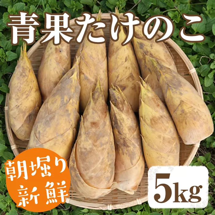 【平日着】＜先行予約受付中！2026年2月下旬以降順次発送予定＞朝堀り青果たけのこ(約5kg) 国産 新鮮 タケノコ 青果 竹の子 筍 野菜 春 旬 期間限定【上野食品】akn008-20-A