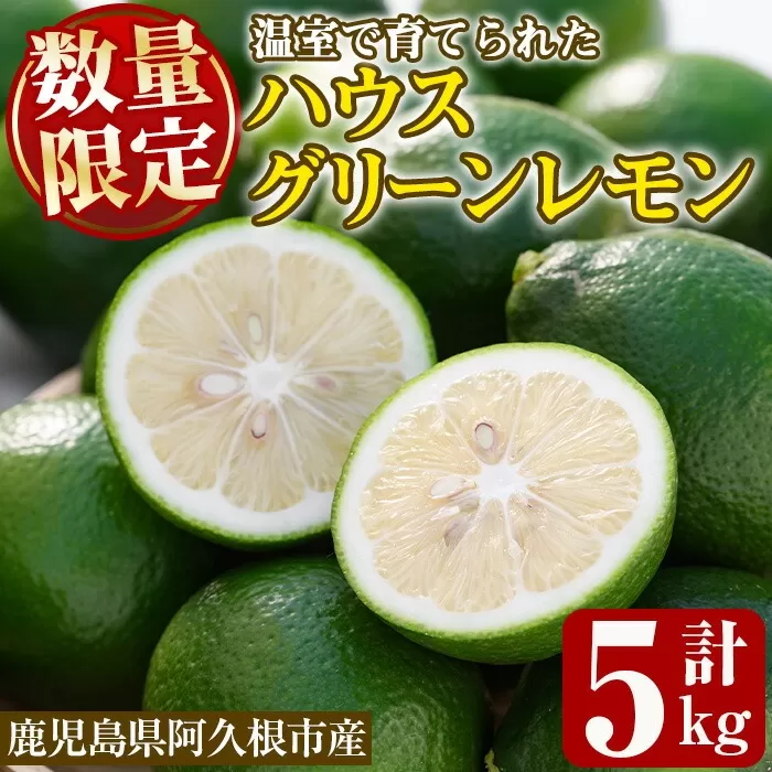 数量限定!ハウスマイヤーグリーンレモン(5kg) 国産 檸檬 果実 果物 フルーツ 柑橘 デザート お菓子作り 期間限定 数量限定【桐野柑橘株式会社】akn070-18