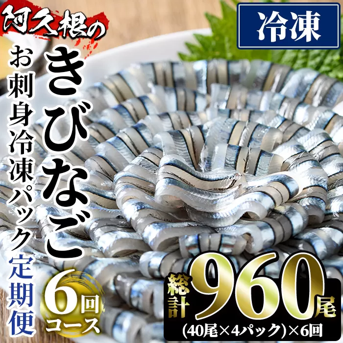 ＜定期便・全6回(冷凍便)＞鹿児島県産！阿久根のきびなごお刺身セット(計960尾・40尾×4P×6回) 冷凍 魚介類 海鮮 魚 きびなご キビナゴ 刺身 さしみ 刺し身 青魚 子魚 小分け【椎木水産】a-60-12