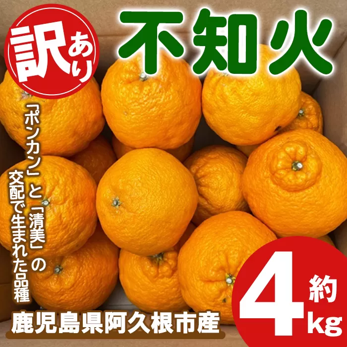 ＜先行予約受付中！2026年3月上旬以降順次発送予定＞訳あり！露地栽培の不知火(4kg) 国産 不知火 しらぬい 柑橘 果物 フルーツ デザート 露地 果実 期間限定 数量限定 【古田果樹園】akn093-03