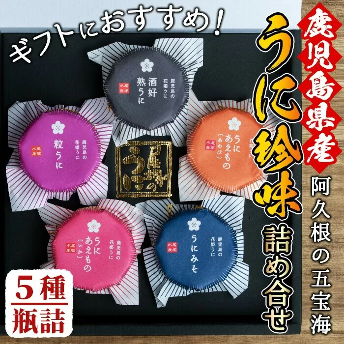 鹿児島県産うに使用！人気のうに珍味 阿久根の五宝海(ごほうび)セット(5瓶) ムラサキウニ 酒好熟うに 粒うに うに味噌 あわびうに いかうに 詰め合わせ 食べ比べ 贈答用 ギフト 贈り物 花姫うに おつまみ ウニ 珍味 国産 鹿児島県産【尾塚水産】a-22-2-z